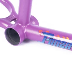 CULT CREW Frames<2-Short Panza Frame / purps